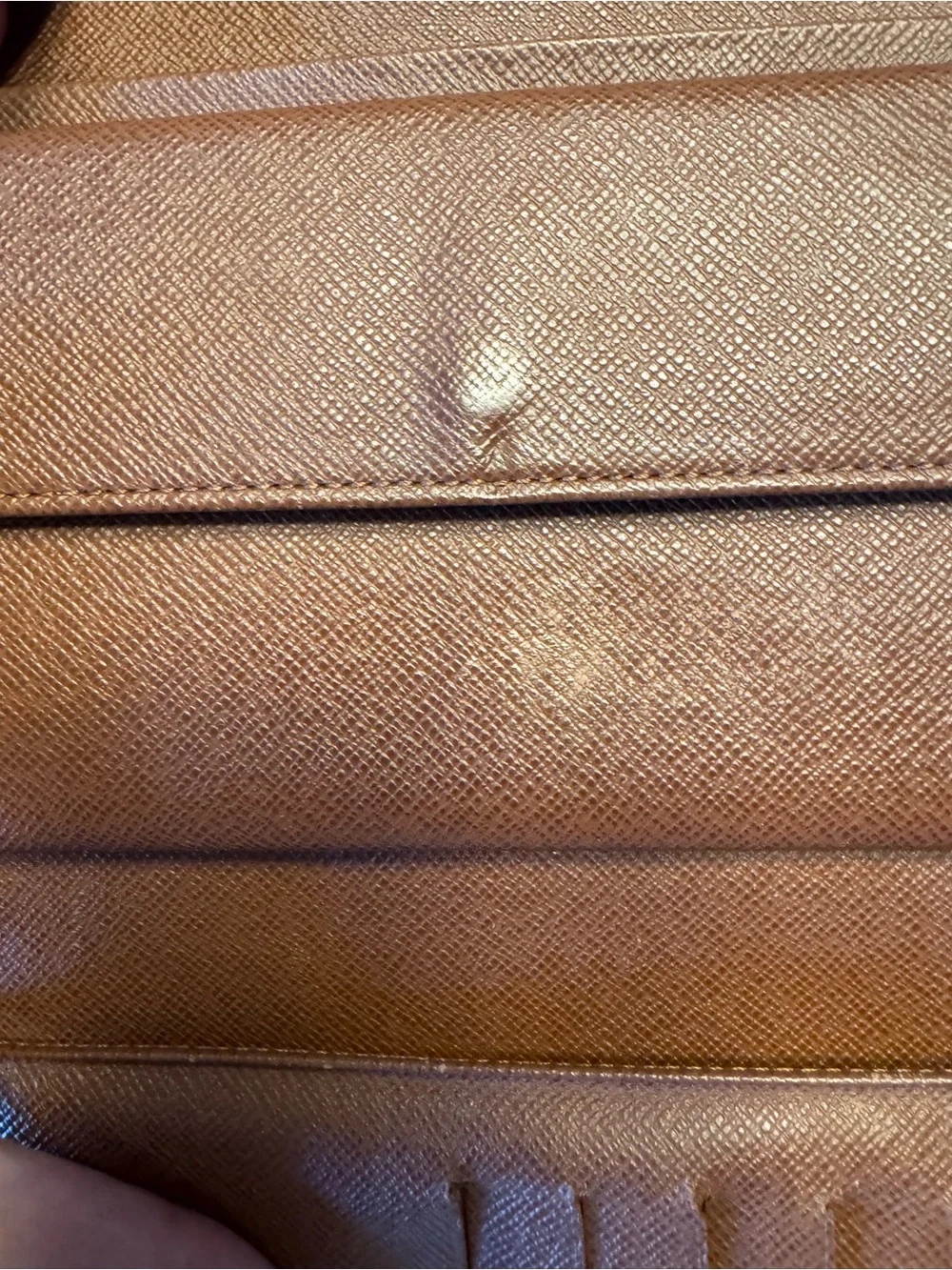 Louis Vuitton iconic louis